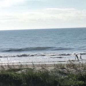 Meet your Posher, Mikki